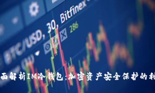 全面解析IM冷钱包：加密资产安全保护的利器