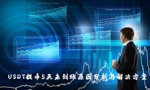  USDT提币5天未到账原因分析与解决方案