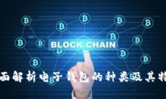 全面解析电子钱包的种类及其特点