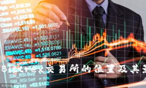 深入探讨：Bittrex交易所的位置及其影响力分析