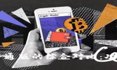 : 国际钱包APP与普通版的综合对比：功能、优势及