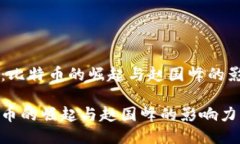 主题：比特币的崛起与赵国峰的影响力比特币的