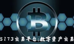   探索大明龙权5173交易平台：数字资产交易新时