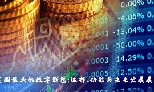 美国最大的数字钱包：选择、功能与未来发展展望