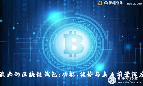 全球最大的区块链钱包：功能、优势与未来前景深度解析