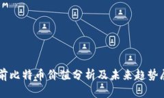 当前比特币价值分析及未来趋势展望