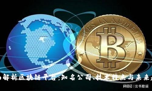 全面解析区块链平台：知名公司、技术特点与未来趋势
