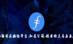 全面解析区块链平台：知名公司、技术特点与未