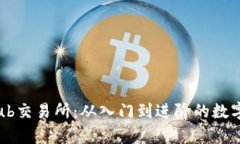 全面解析Bitkub交易所：从入门到进阶的数字货币