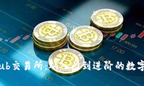 全面解析Bitkub交易所：从入门到进阶的数字货币交易指南