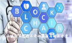  区块链钱包打不开的原因与解决方案