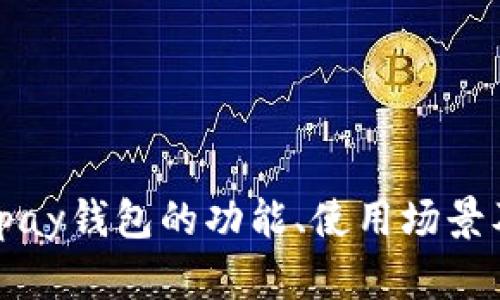 : 深入探讨：Gopay钱包的功能、使用场景及其安全性分析