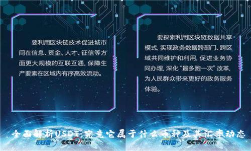  全面解析USDT：究竟它属于什么币种及其汇率动态