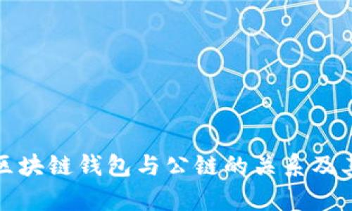 全面解析区块链钱包与公链的关系及其应用前景