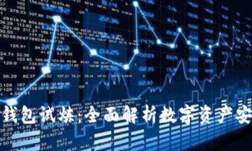 数字货币钱包试炼：全面解析数字资产安全与管理