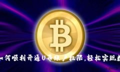  全面解析：如何顺利开通U币账户权限，轻松实现