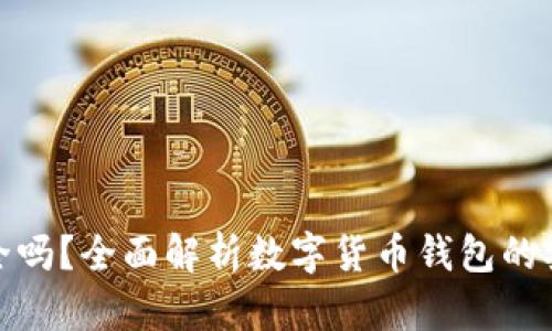 数字币存钱包安全吗？全面解析数字货币钱包的安全性与应对策略