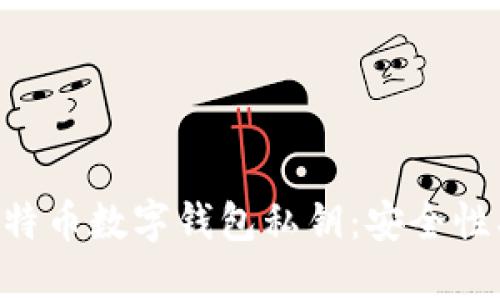 深入探索比特币数字钱包私钥：安全性、管理与应用