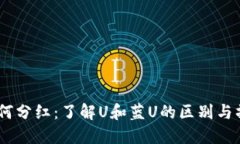 USDT如何分红：了解U和蓝U的区别与操作详解