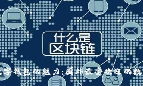探索全球数字钱包的魅力：国外最受欢迎的数字钱包一览