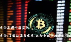 易币付是哪个国家的易币付：了解起源与发展，