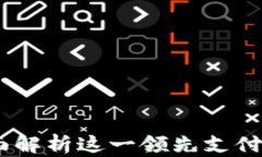 上海汇付支付有限公司：全面解析这一领先支付