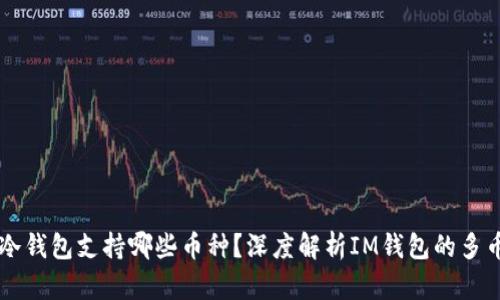IM钱包冷钱包支持哪些币种？深度解析IM钱包的多币种优势