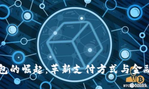 美国数字钱包的崛起：革新支付方式与金融未来的探索