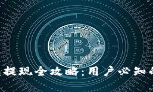 : Gopay钱包提现全攻略：用户必知的步骤与技巧