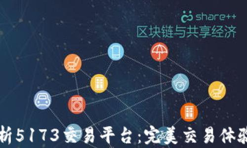 
深入解析5173交易平台：完美交易体验的背后