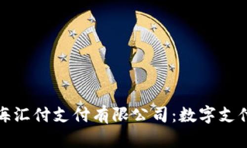 深入解析上海汇付支付有限公司：数字支付的变革先锋