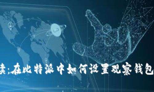 全面解读：在比特派中如何设置观察钱包的时间？