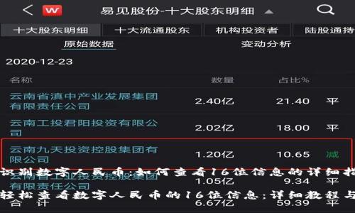 小心识别数字人民币：如何查看16位信息的详细指南

如何轻松查看数字人民币的16位信息：详细教程与解析