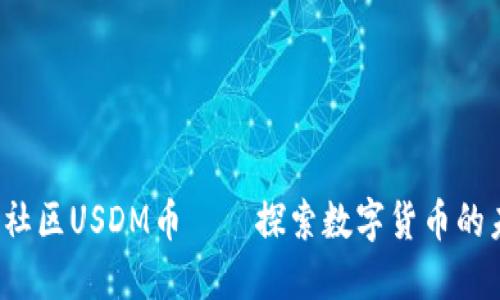  MetaX社区USDM币——探索数字货币的未来之路