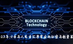 2023年：U币与人民币汇率背后的秘密与投资策略