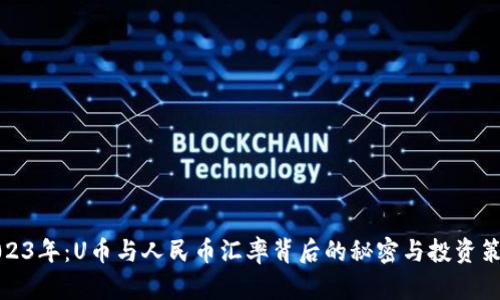 2023年：U币与人民币汇率背后的秘密与投资策略