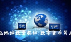 中本聪的钱包地址数量揭秘：数字货币背后的神