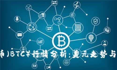 2023年比特币（BTC）行情分析：美元走势与市场前景展望
