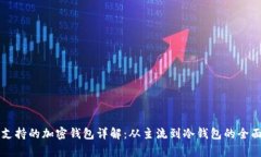 中国支持的加密钱包详解：从主流到冷钱包的全