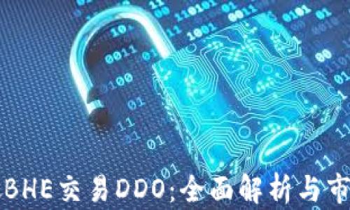 
新加坡BHE交易DDO：全面解析与市场前景