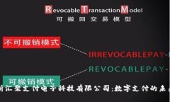 全面解析汇聚支付电子科技有限公司：数字支付