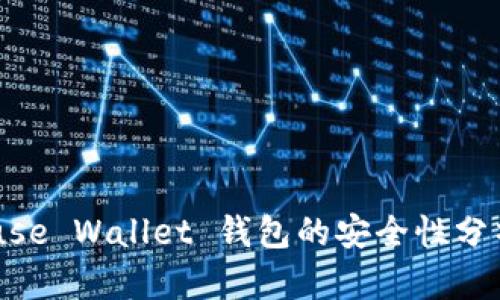 深入探讨：Muse Wallet 钱包的安全性分析与用户指南