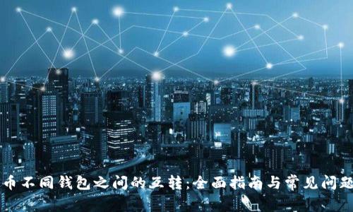 虚拟币不同钱包之间的互转：全面指南与常见问题解答