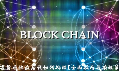 
数字货币被盗后该如何处理？全面指南与有效策略