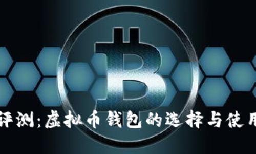 全面评测：虚拟币钱包的选择与使用指南