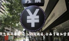 区块链钱包编码解析：从入门到精通，全面了解