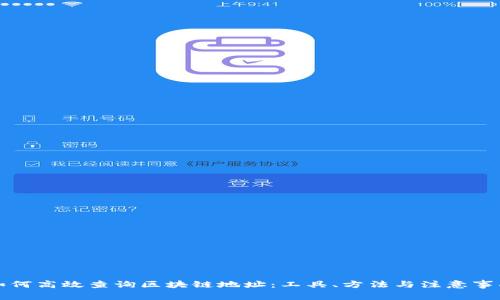 如何高效查询区块链地址：工具、方法与注意事项