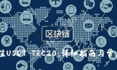 bu如何充值USDT TRC20：详细指南与常见问题解析