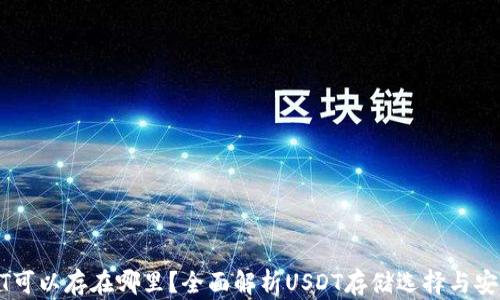 
USDT可以存在哪里？全面解析USDT存储选择与安全性