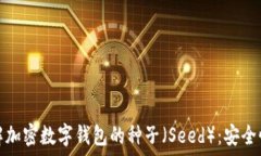   全面理解加密数字钱包的种子（Seed）：安全性